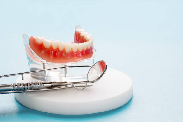 Best General Dentistry  in Bradenton, FL